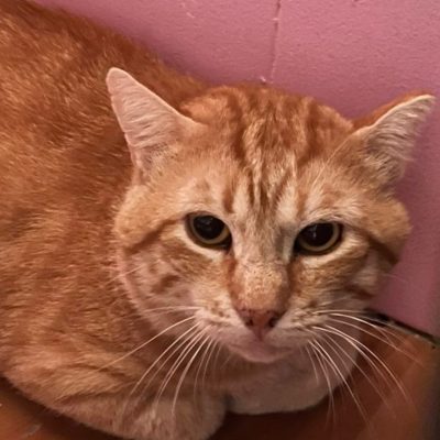 03fbee8d-f57c-4a84-b74f-238250791a17