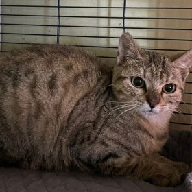 0a5fe53f-b58b-4d17-9496-d57befc8ade8