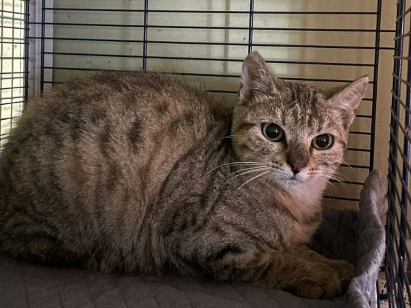 0a5fe53f-b58b-4d17-9496-d57befc8ade8