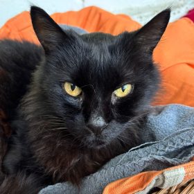 0e5ed58a-58f6-46c3-a6ed-6ae81d53ae3e