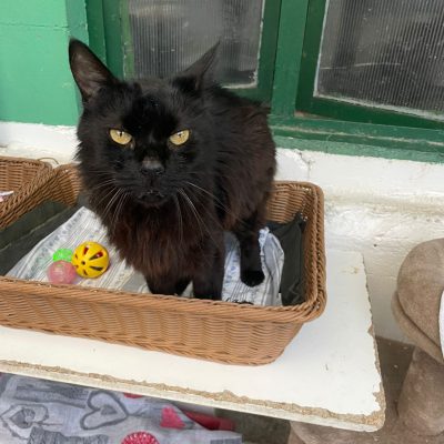 0f8a31f9-fe38-4abc-8a31-d91126514609