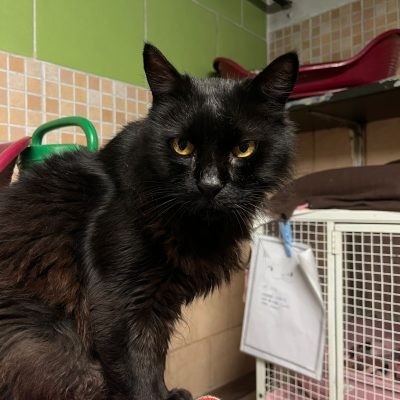 15be3bfb-0671-4121-94b3-d260f14baeea