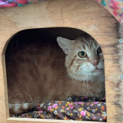 1608fc0a-219f-4cdd-9f43-97d27d96eb9b