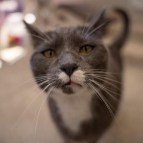 19c9e8b6-4834-47e9-bbe9-4b0df42a8192