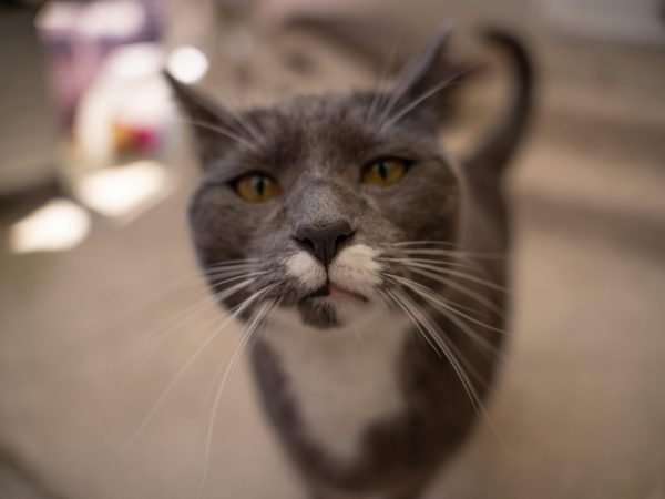 19c9e8b6-4834-47e9-bbe9-4b0df42a8192