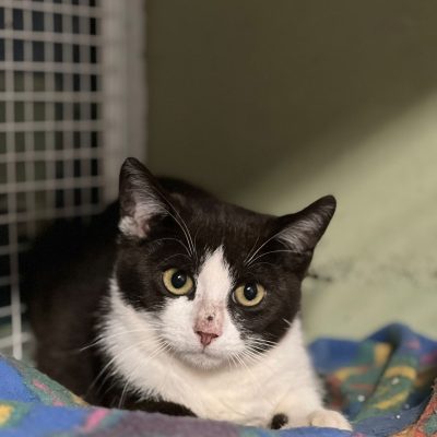 1aa901e8-763f-41e5-9d5c-d8ec55dfd787