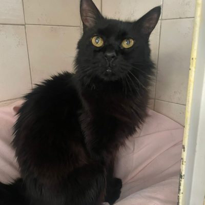 1b31a895-30eb-42c0-a21f-91fc2c3f9583