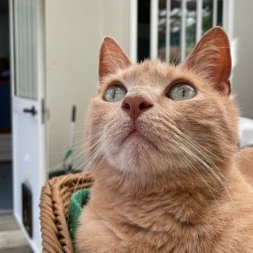 21d3064b-9bda-4f94-8db0-991552d508ce