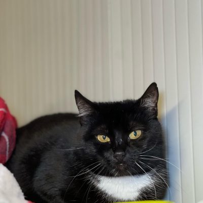 22d43d80-e9ad-489b-bc61-918b01370bce