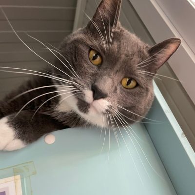 2415b8a3-2de9-4ac5-86da-e4a3d1e9039a