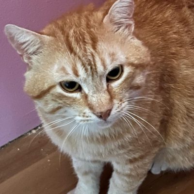 245a2bfc-c4eb-4a94-a369-5b71c596eed5