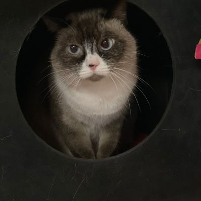 26da21ad-d9f8-48e6-9c52-1484dd7ca6e8