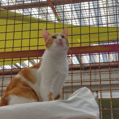 2d5b53f0-cea6-4db8-96b6-6f731c33a033 2