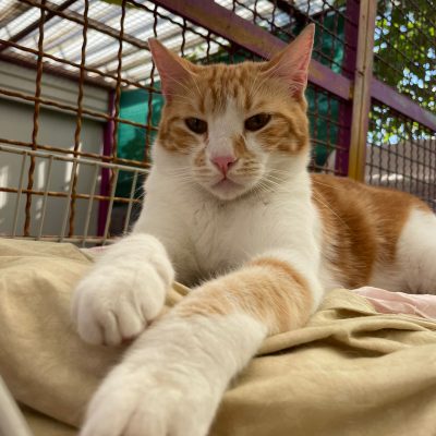 3aafd442-eebe-4086-ac9d-a0abe0641b0b 2