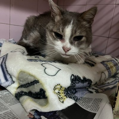 3d45e86e-541d-4ee4-9431-1e934e49b20d