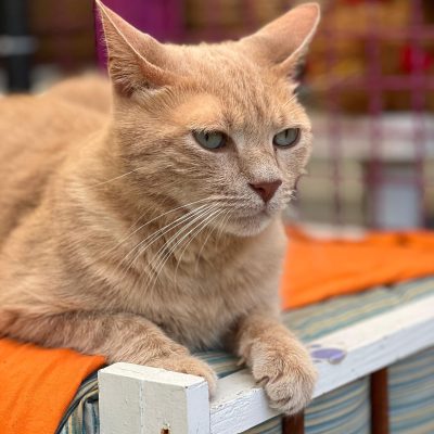 3d84a8f5-718f-4dda-81d1-e13506bfd42b