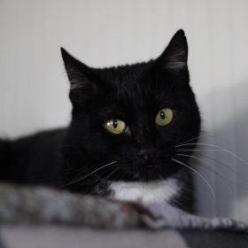 3e0fdace-86e4-43a8-8376-a8981cb8370b