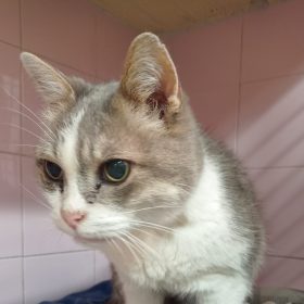 3f7cc4b5-7671-4e32-9f69-a9b6e0844518