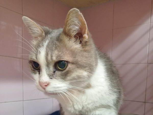 3f7cc4b5-7671-4e32-9f69-a9b6e0844518