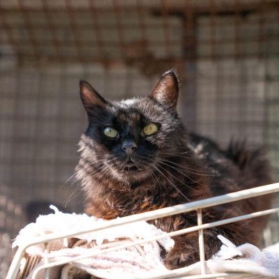 44ac9822-3c48-4c43-9d89-58d982203d9c