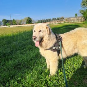 532056b0-8d90-4a82-b101-78b9a5c6f4b0