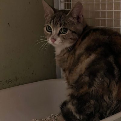 5549d7bf-fe15-4a23-af81-ca3c21a8069d