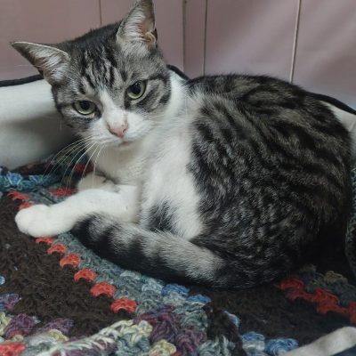 582d1bc8-a84e-4f73-8489-86858b780ac9