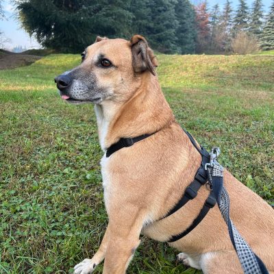 5b4e826a-8256-4648-b5ef-9466b36f2362