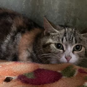 5e970ca6-bf41-4b4e-a250-9fe5943b94fb