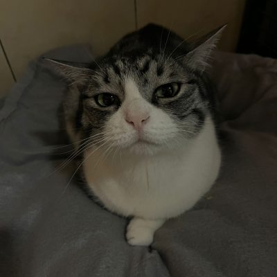 5fa86f76-fcd5-49a3-8372-8538919dd9e0