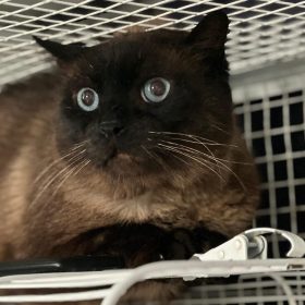 61870999-cfe0-4dab-891e-f54b943344b0