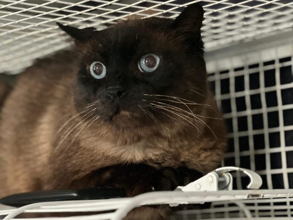 61870999-cfe0-4dab-891e-f54b943344b0