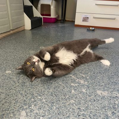 63d3d534-1ea5-4d1c-8379-ca6d972cf837