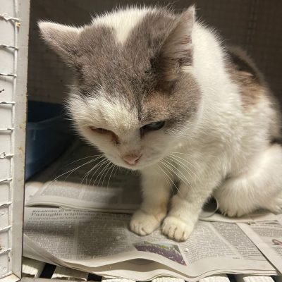 65167833-a898-4012-9ee7-07db83ad2448