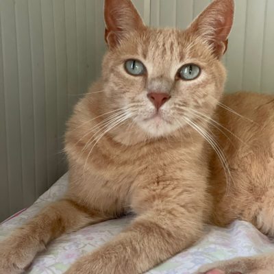 716343b2-38cf-4aad-b058-6450ca58f684