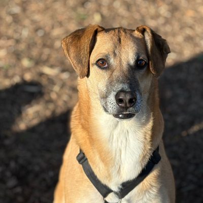 77addd57-fd06-4415-b9ce-bea6069ace13