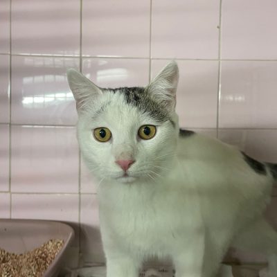 79fb2bb9-ac33-418b-8297-e4f078cb5992