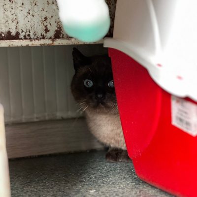 7b7f7152-f45e-4a41-b0fd-95b58dd214a3