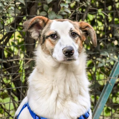 7c7fc171-4cdb-42cb-bc54-222b9135b958 (2021_03_08 18_46_26 UTC)