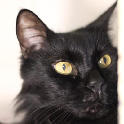 7da258bb-bb3c-41cb-8f91-016092368425