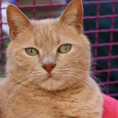 7e8aefec-8d4d-45e6-afcb-8c63369ebe3c