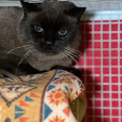 80176843-cb7f-4716-a733-d4440e941044