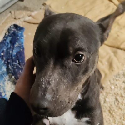 82c16668-9979-4b26-ab8b-191738a57fb1