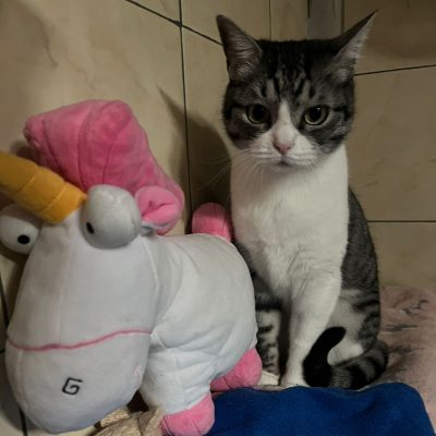 82e0a6f0-599a-44e8-9e0c-0c372e4bdfd3