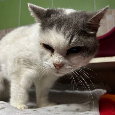 881a3476-546c-443f-ab16-2855c8c3e08e