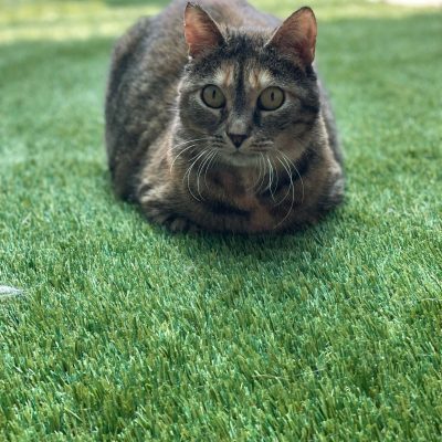 8b37b5d0-cb98-48ca-84ff-f89bf33cd3d9