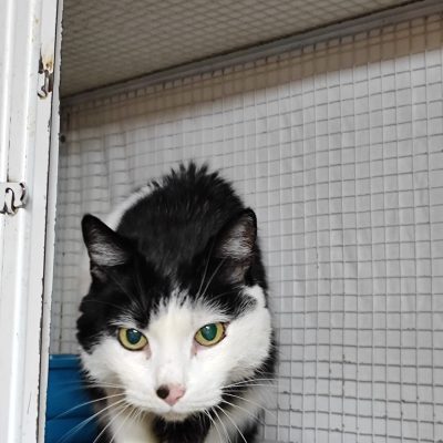 8b631f5c-e2fb-4921-9222-7f2b58e35c8f