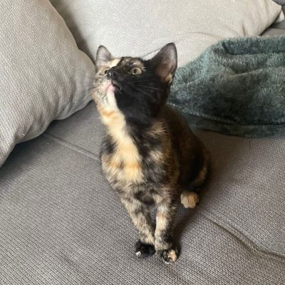 8eadcd0c-5159-4f11-9b7f-32fb7e93f1bf