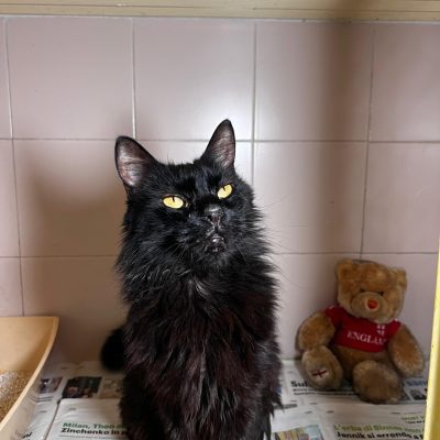 94f849f1-e677-4564-b3f5-b1c40cebb11f