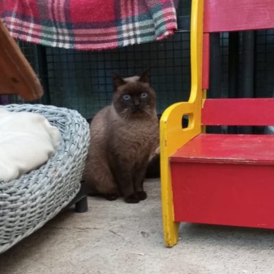 98726b1d-c8f9-4736-883a-66f889a4f3f0